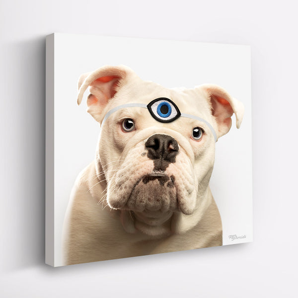 MYSTIC Canvas Art Print - Bulldog Lover Artwork