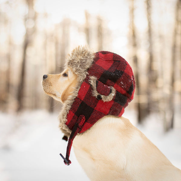 ASPEN Winter Dog Canvas Art Print - Labrador Winter Holiday Home Decor