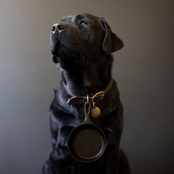 COOK Dog Canvas Art Print - Black Labrador Retriever Kitchen Artwork Decor