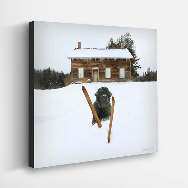 OLLIE Dog Canvas Art Print  - Newfoundland Winter Cabin Ski House Wall Art