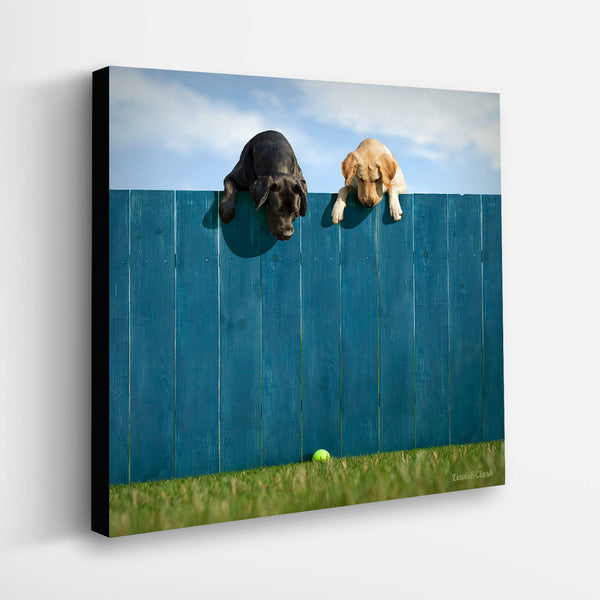 OUT OF THE PARK On the Fence Dog Canvas Art Print - Labrador Wall Art