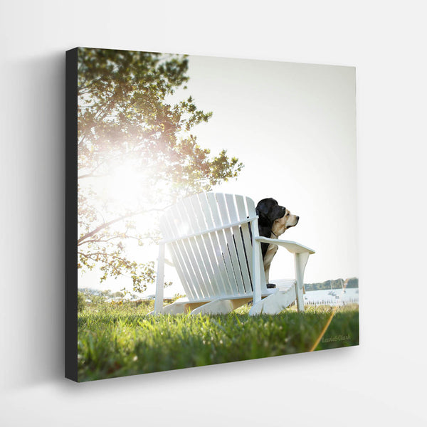 PAUSE Dogs at Sunset Wall Art - Labrador Retriever Print and Canvas - Lake House Art