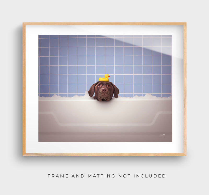 STINKY Dog in Bathtub Canvas Art Print  - Chocolate Labrador Wall Art