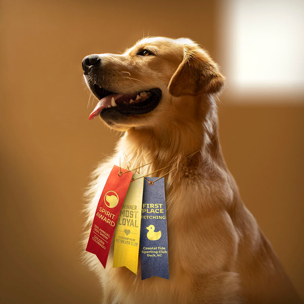 TRUE Dog Canvas Art Print - Good Dog Award Golden Retriever Wall Art