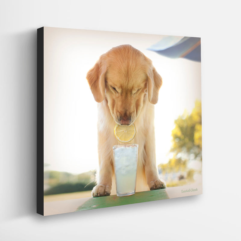 TWIST Golden Retriever Canvas Art Print - Dog Days of Summer with Lemon Wall Decor