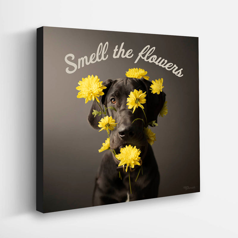 Smell the Flowers" Grey Great Dane with Yellow Flowers - Gallery Wrapped Canvas  - Dog Art Print  - Unique motivational wall decor for living room, office, playroom, and bedroom. 