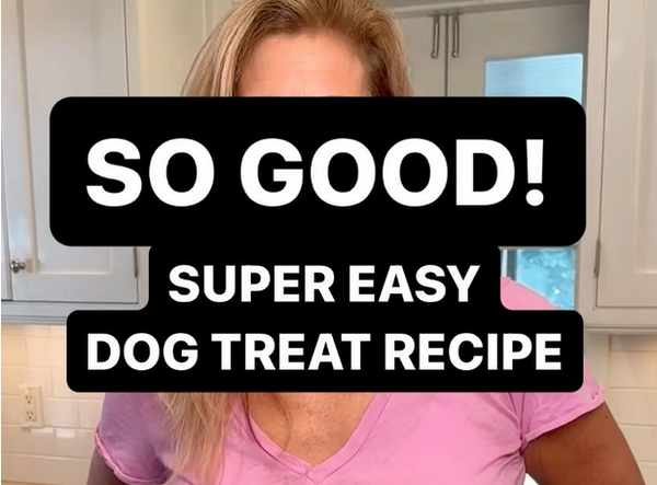 Easy Dog Treat Recipe -  Homemade, Healthy with Only One Ingredient