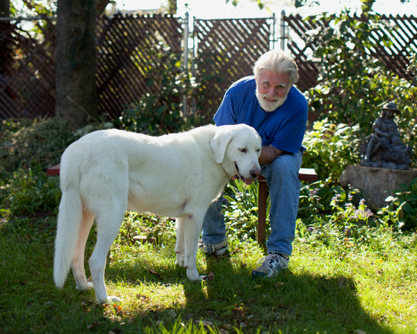 The People Our Dogs Help Us Meet