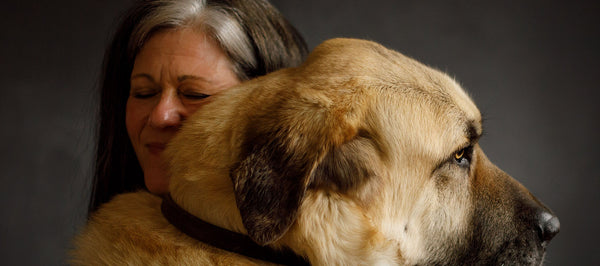 Do Dogs Enjoy Hugs?