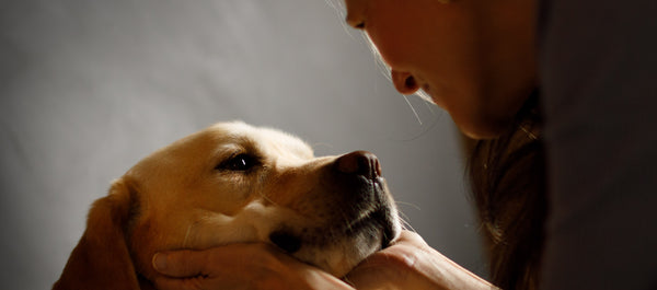 News Flash! Your Dog Prefers Your Praise Over A Treat