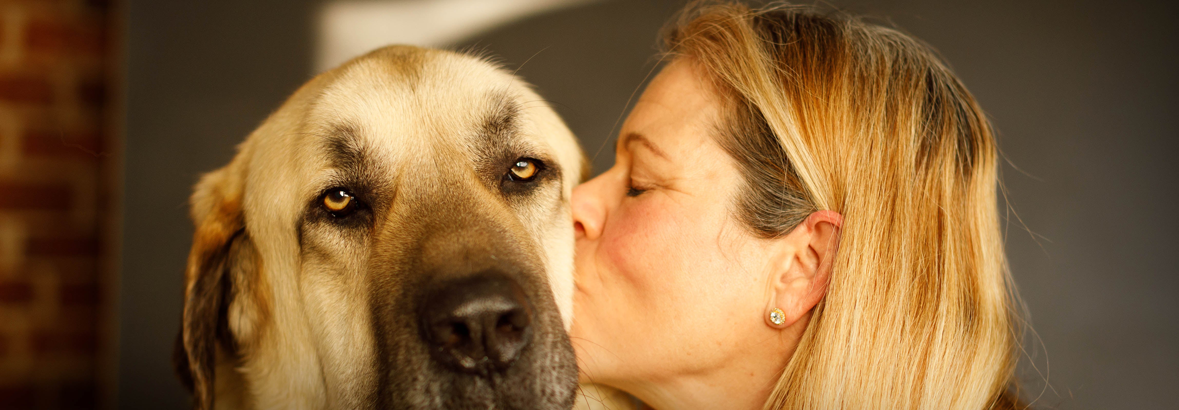 The Science Behind Why We Choose Dogs That Look and Act Like Us Loose