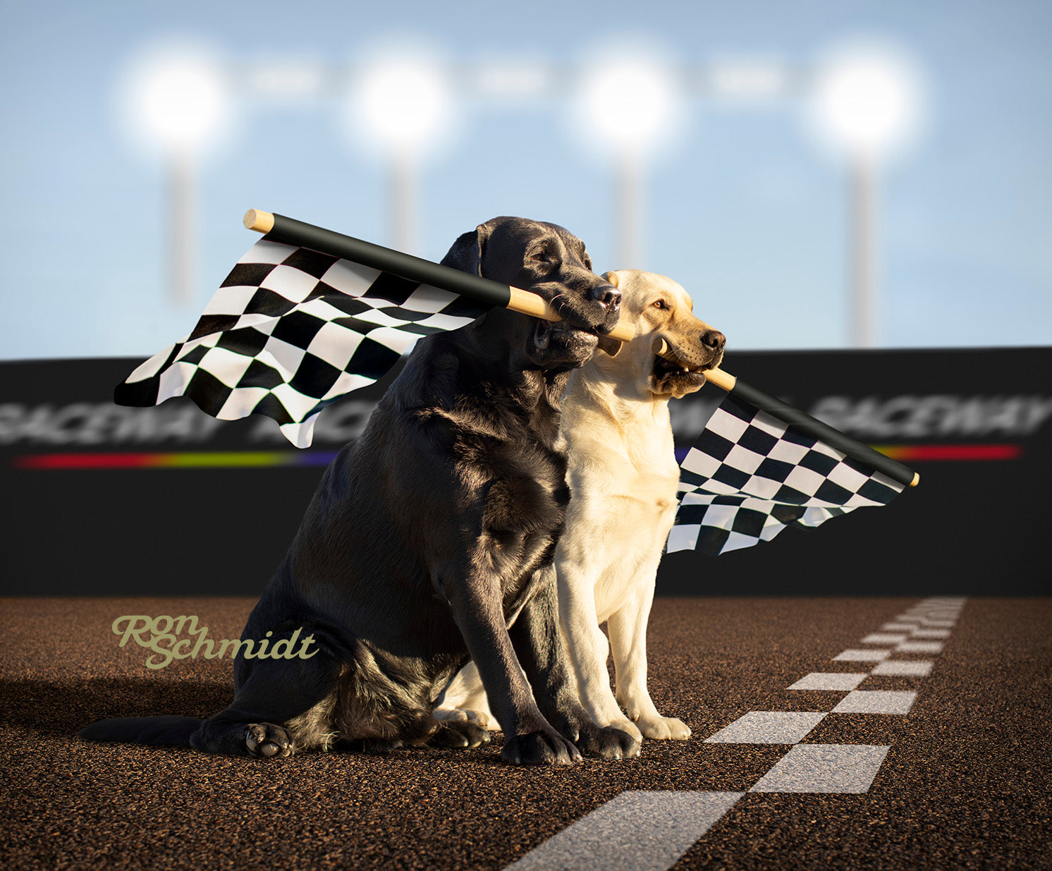 BEHIND THE SCENE - LEWIE & CLARK - RALLY – Loose Leashes by Ron Schmidt