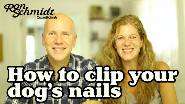 How To Clip Your (XL) Dog's Nails at Home!