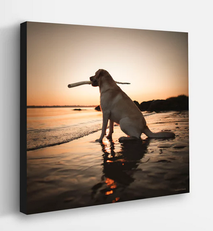 CLIENT PRODUCT - GALLERY WRAPPED CANVAS