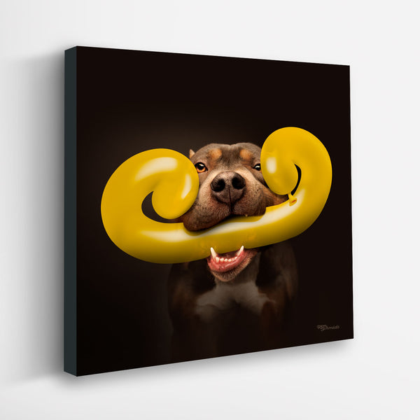 Dali Canvas Art Print - Ameican Pit Bull Lover Artwork