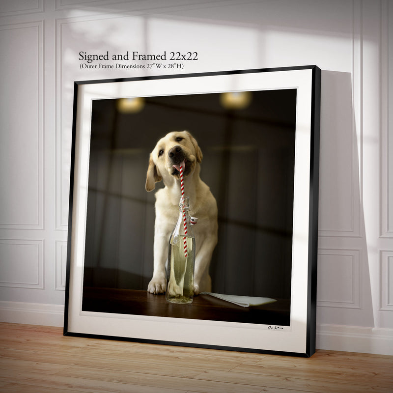 FIZZ Dog Canvas Art Print - Yellow Labrador Kitchen, Bar Artwork