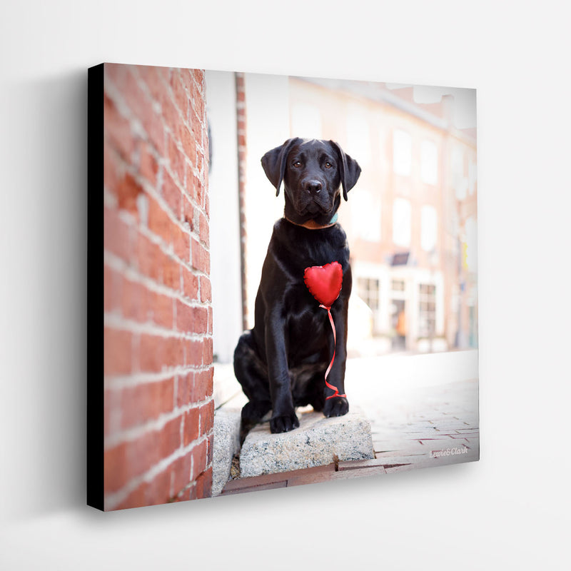 CUPID Canvas Art Print Black Labrador Dog Heart Wall Decor