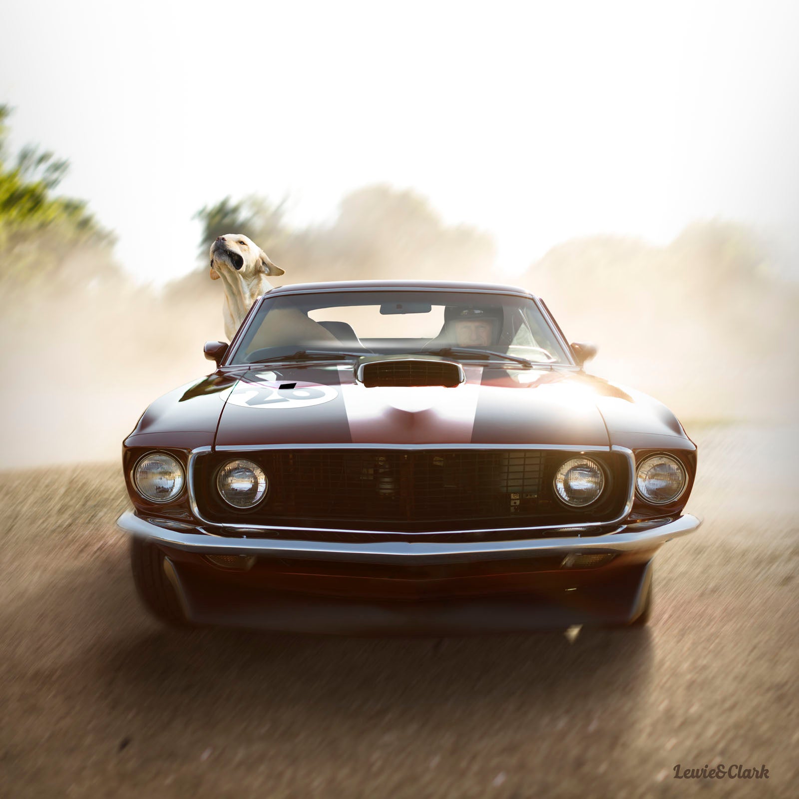 mustang_1600x.jpg?v=1686002293