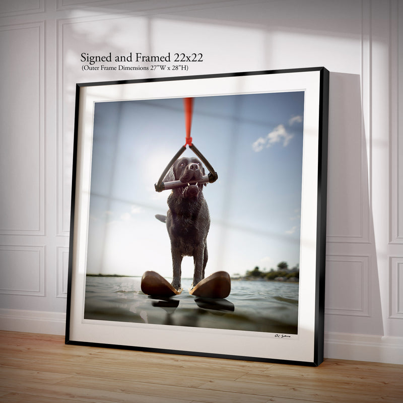 SKIP Dog Waterskiing Canvas Art Print - Black Labrador Lake House Art