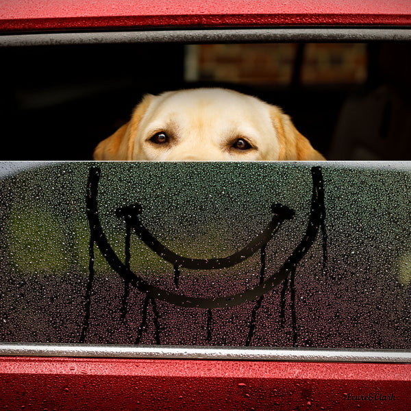 SMILEY Canvas Art Print - Yellow Labrador Happy Face Artwork