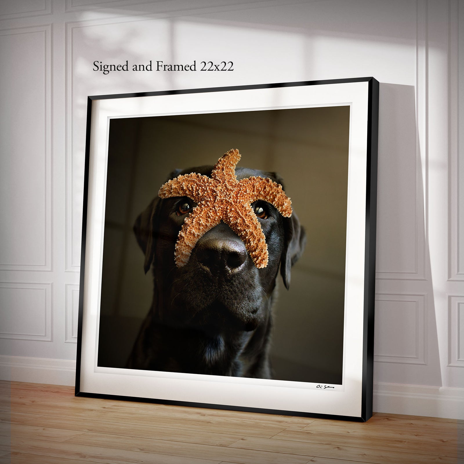 starfish.framed.text_1600x.jpg