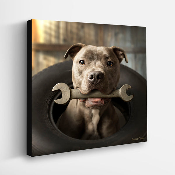 AXEL Pit Bull Dog Wall Art -  Pitbull Workshop Garage Canvas Artwork