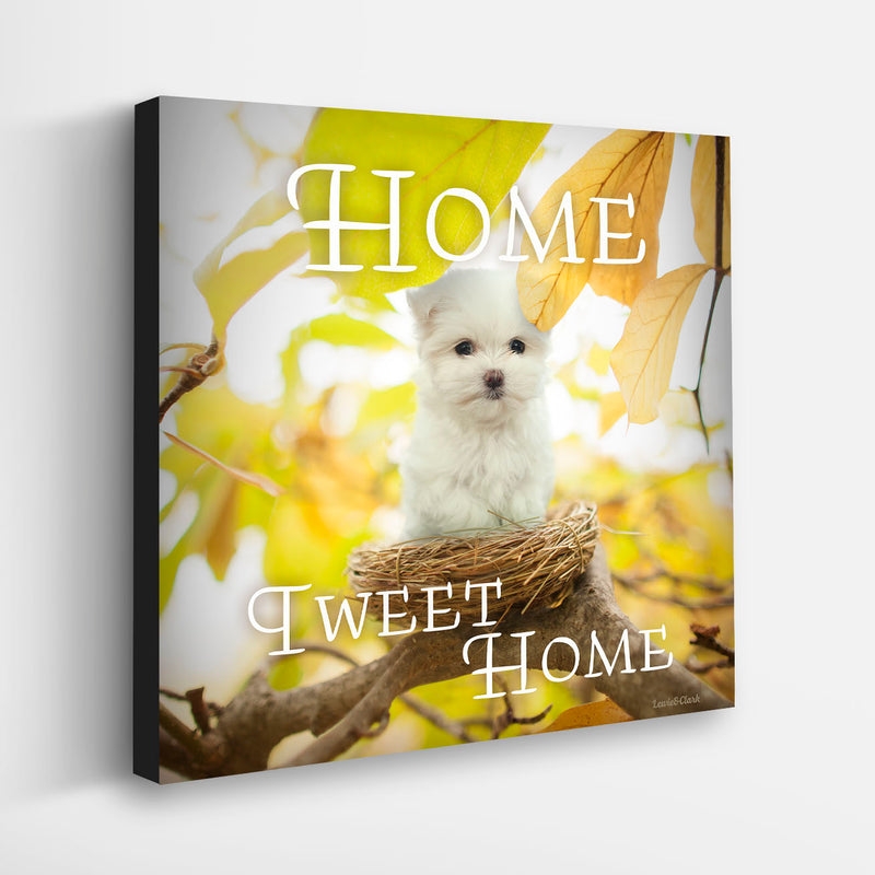 Home Tweet Home - Dog Wall Decor on Canvas - Bichon in Nest  - Art for Dog Lover