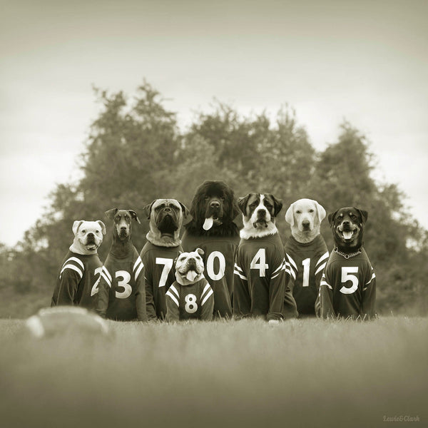 THE BONECRUSHERS Teamwork Art Print - Dog Football Wall Decor Sports Artwork