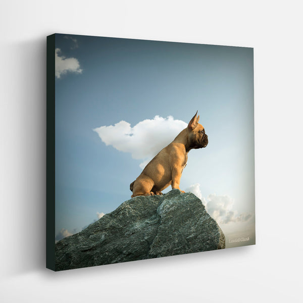 BRUCE Dog Canvas Art Print - French Bulldog Superhero Artwork