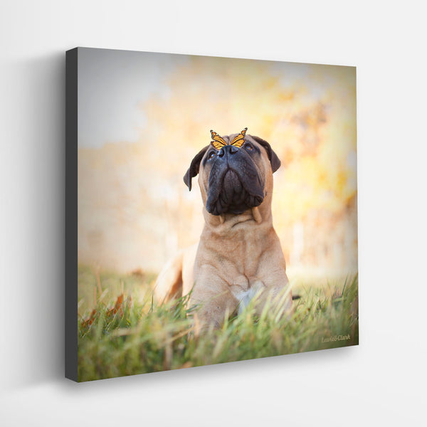 BRUNO Dog Canvas Art Print - Mastiff Butterfly Dog Lover Artwork