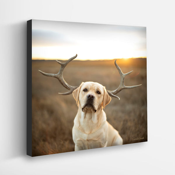 BUCK Dog Deer Canvas Art Print - Yellow Labrador with Antlers