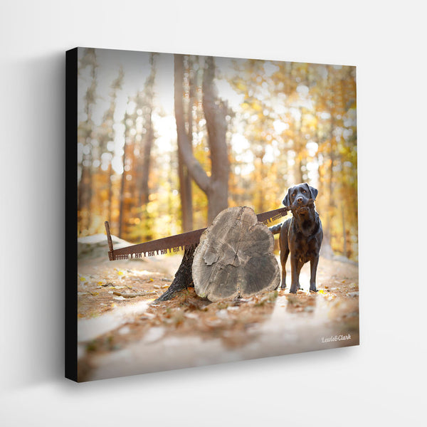BURL Black Labrador Dog Canvas Art Print - Lumberjack Wood Artwork