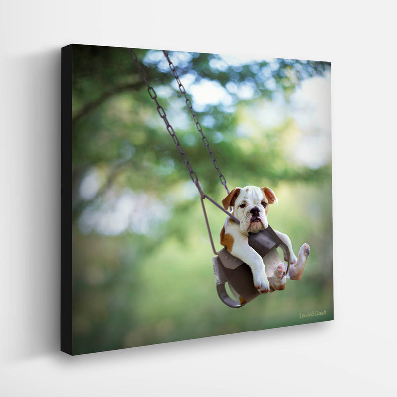 BUSTER Dog Canvas Art Print - Bulldog Puppy in Swing Print