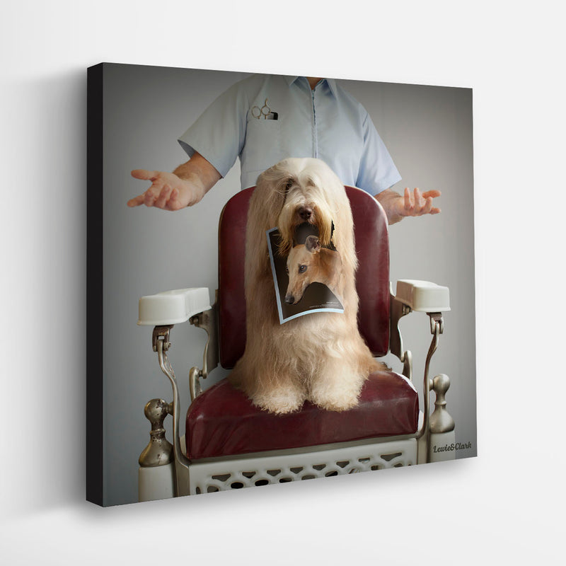 BUZZ Dog Canvas Art Print - Bearded Collie Barbershop Groomer Artwork