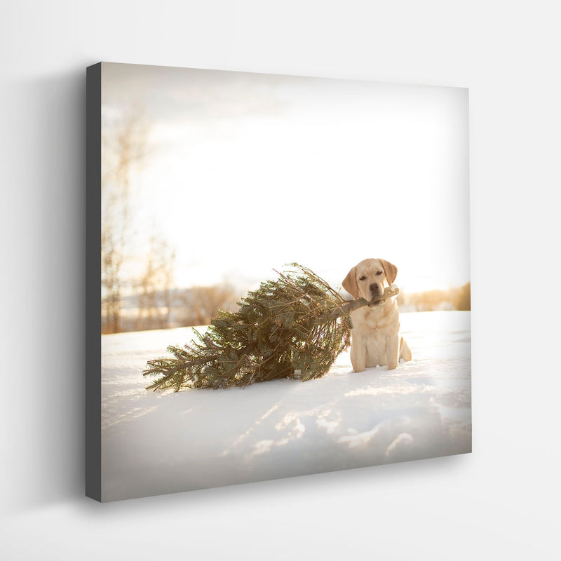 CEDAR Dog with Christmas Tree Dog Canvas Art Print - Labrador Holiday Home Decor