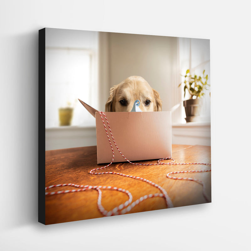 CHANCE Dog Canvas Art Print - Golden Retriever Birthday Cake Artwork