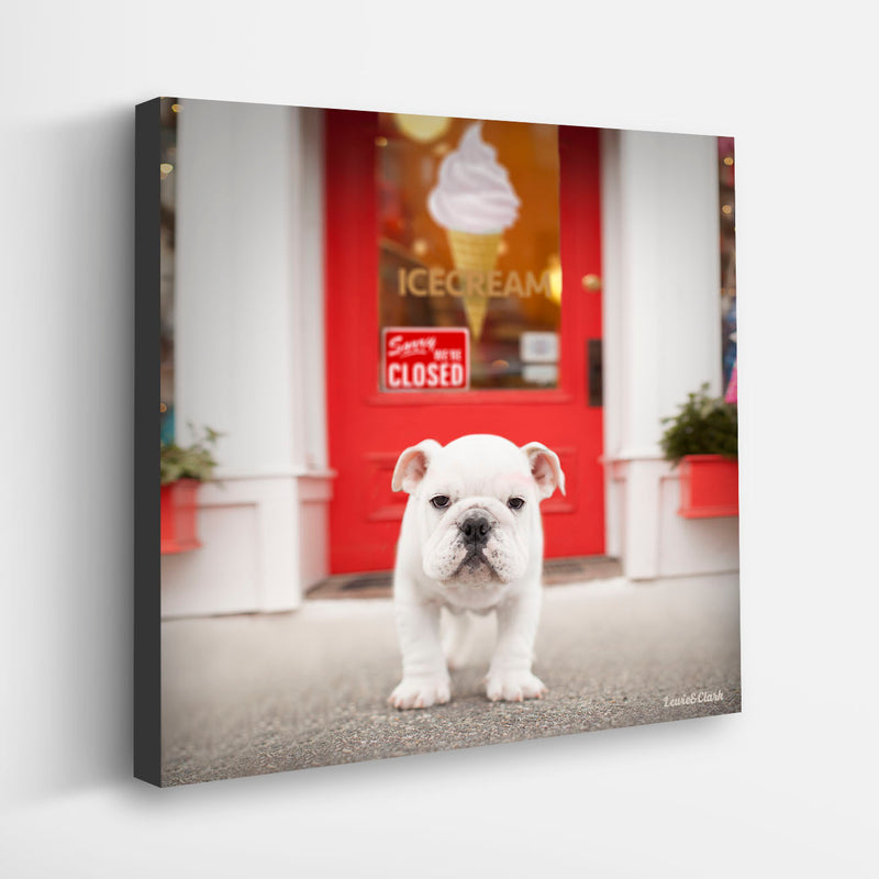 CHIP Ice Cream Dog Canvas Art Print - Bulldog Lover Artwork