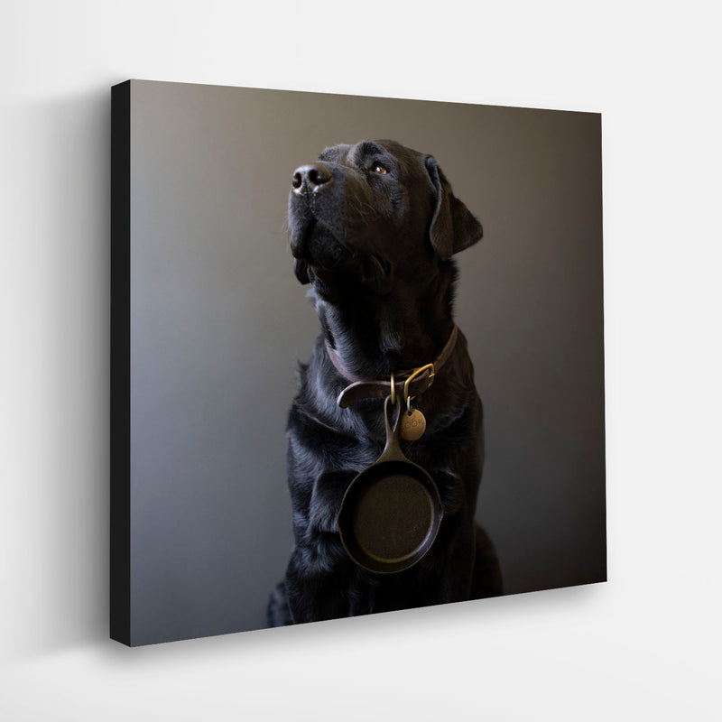 COOK Dog Canvas Art Print - Black Labrador Retriever Kitchen Artwork Decor