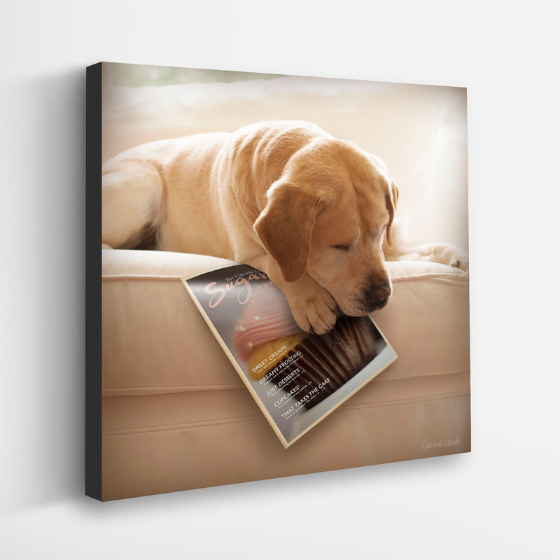 COOKIE Dog Canvas Art Print - Sleeping Yellow Labrador Foodie Decor
