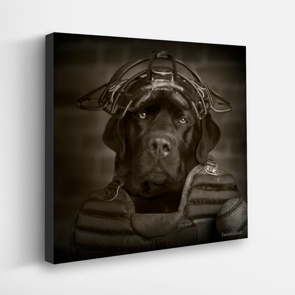 COOPER Dog Canvas Art Print - Black Labrador Baseball Artwork