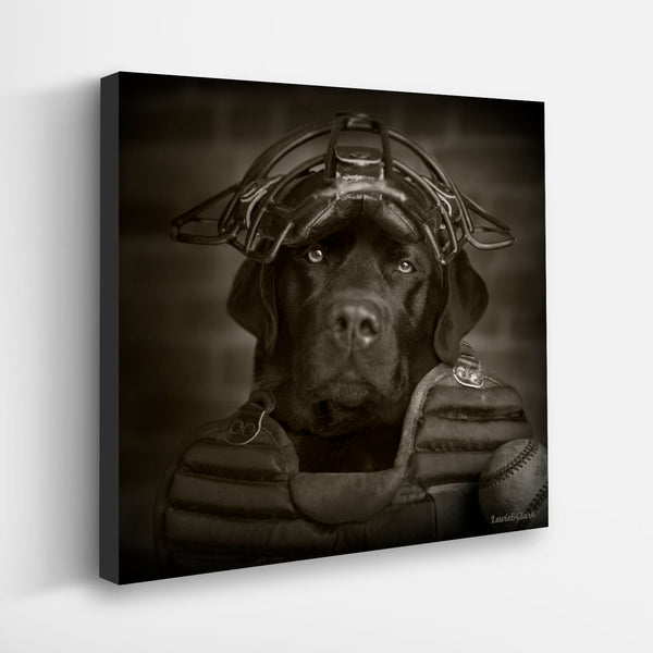 COOPER Dog Canvas Art Print - Black Labrador Baseball Artwork