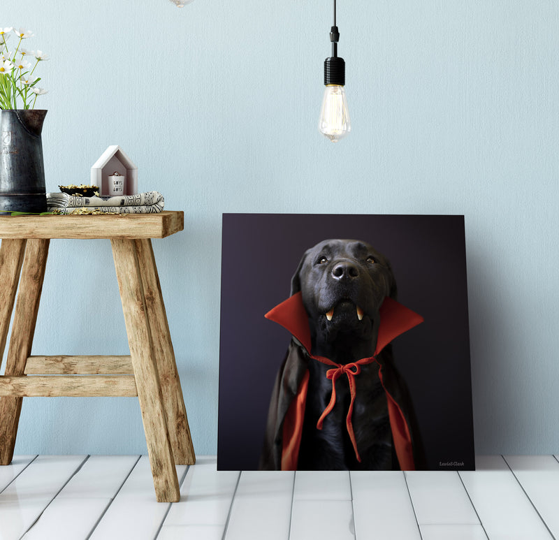 COUNT Vampire Dog Canvas Art Print - Black Labrador Dracula Artwork - Halloween Home Decor