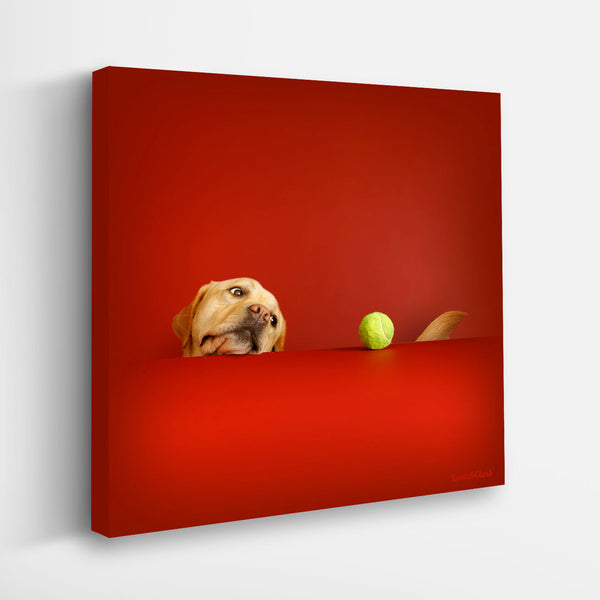 CRIMSON Yellow Dog & Tennis Ball Canvas Art Print - Labrador Retriever Artwork