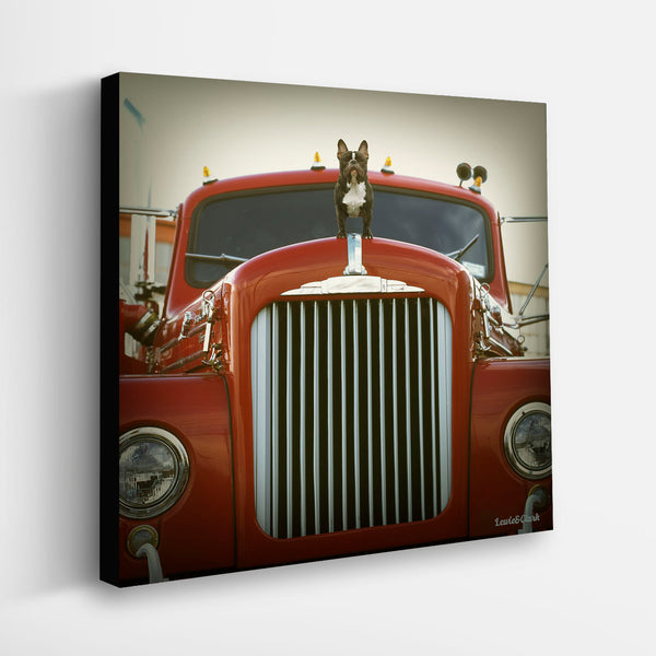 DIESEL Trucker Dog Canvas Art Print - French Bulldog Truck Decor