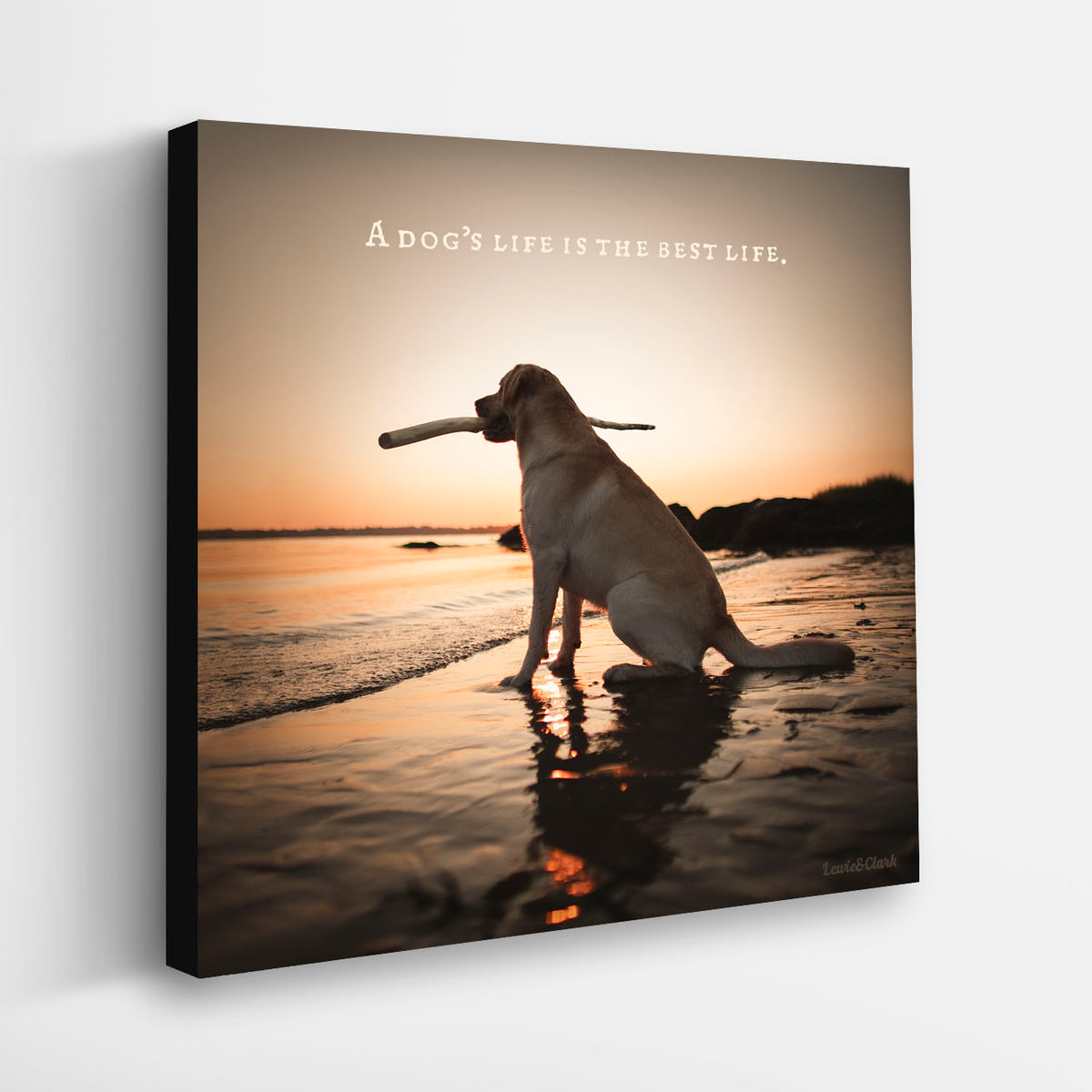 dogslife.ronschmidt_1200x.jpg?