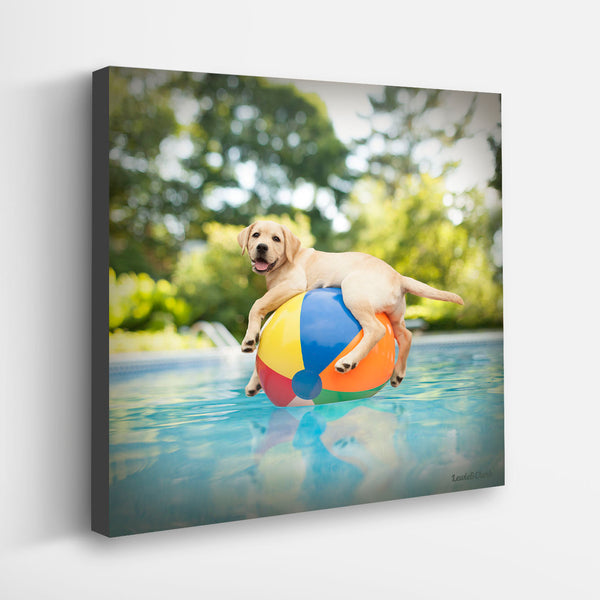 DUCKY Dog Canvas Art Print - Yellow Labrador Beach Ball Wall Decor