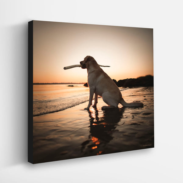 DUSK Dog Beach Canvas Art Print - Yellow Labrador Wall Artwork