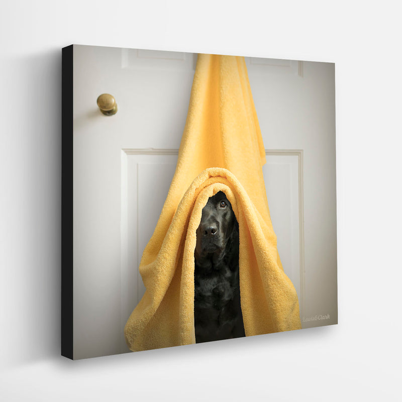 DUSTY Dog Wash Canvas Art Print - Black Labrador Bath Artwork