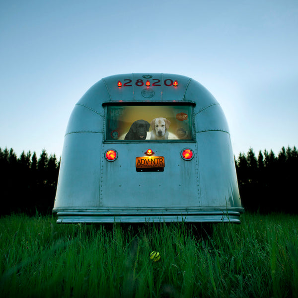 EARLY BIRD Dog Art Print - Labrador Retriever Airstream Camper RV Artwork