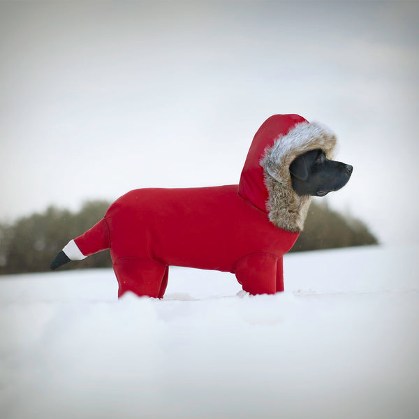 FARGO Winter Dog Canvas Art Print - Labrador Holiday Wall Decor